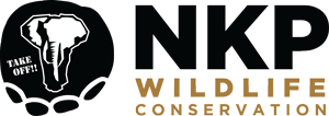 NKP Wildlife